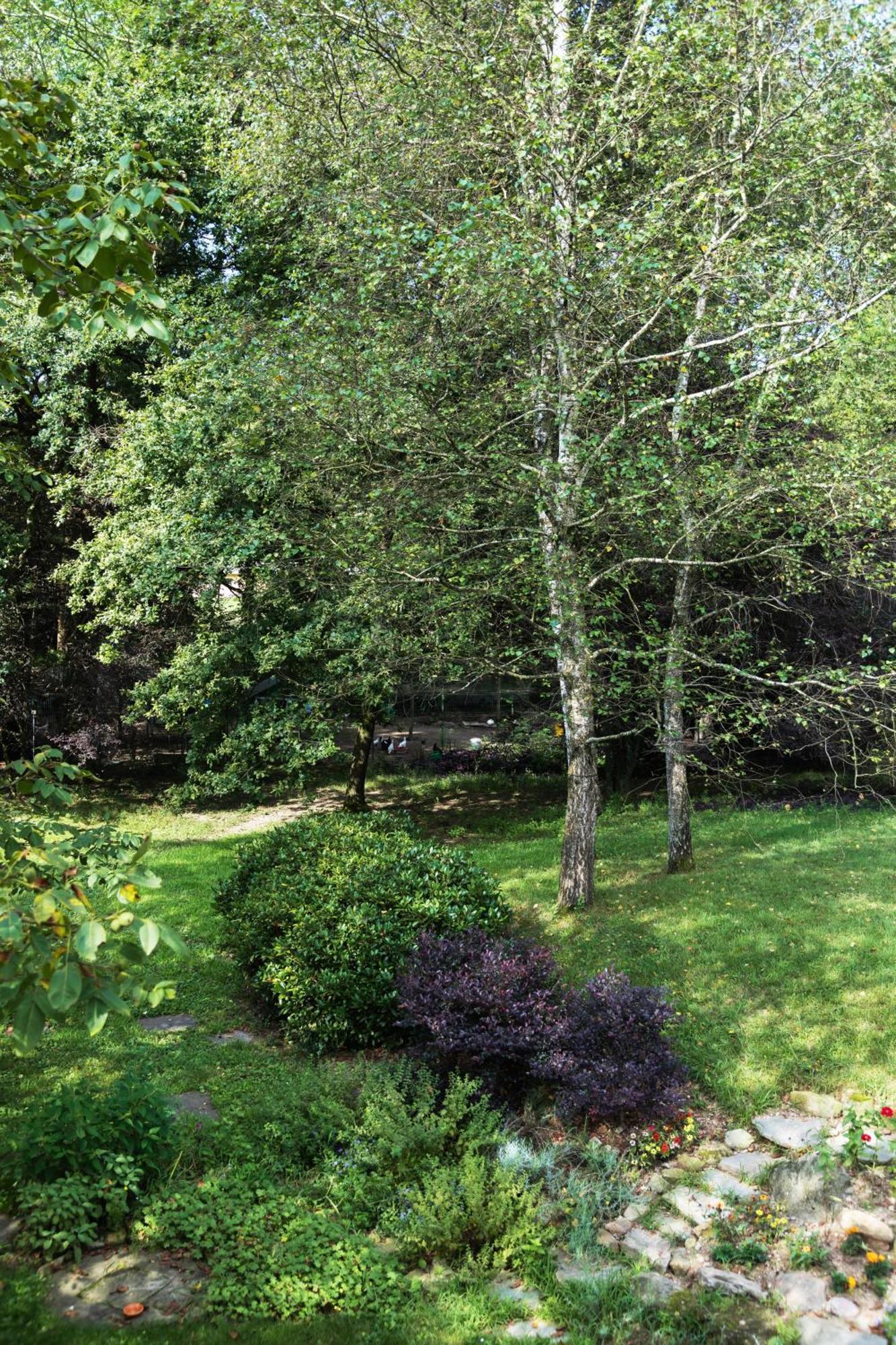 Agriturismo Biomatto Arona Eksteriør billede
