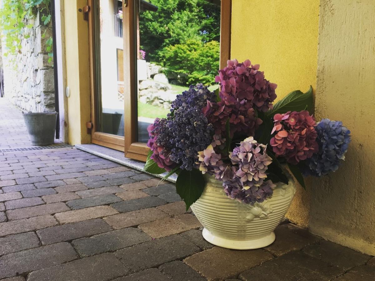 Agriturismo Biomatto Arona Eksteriør billede